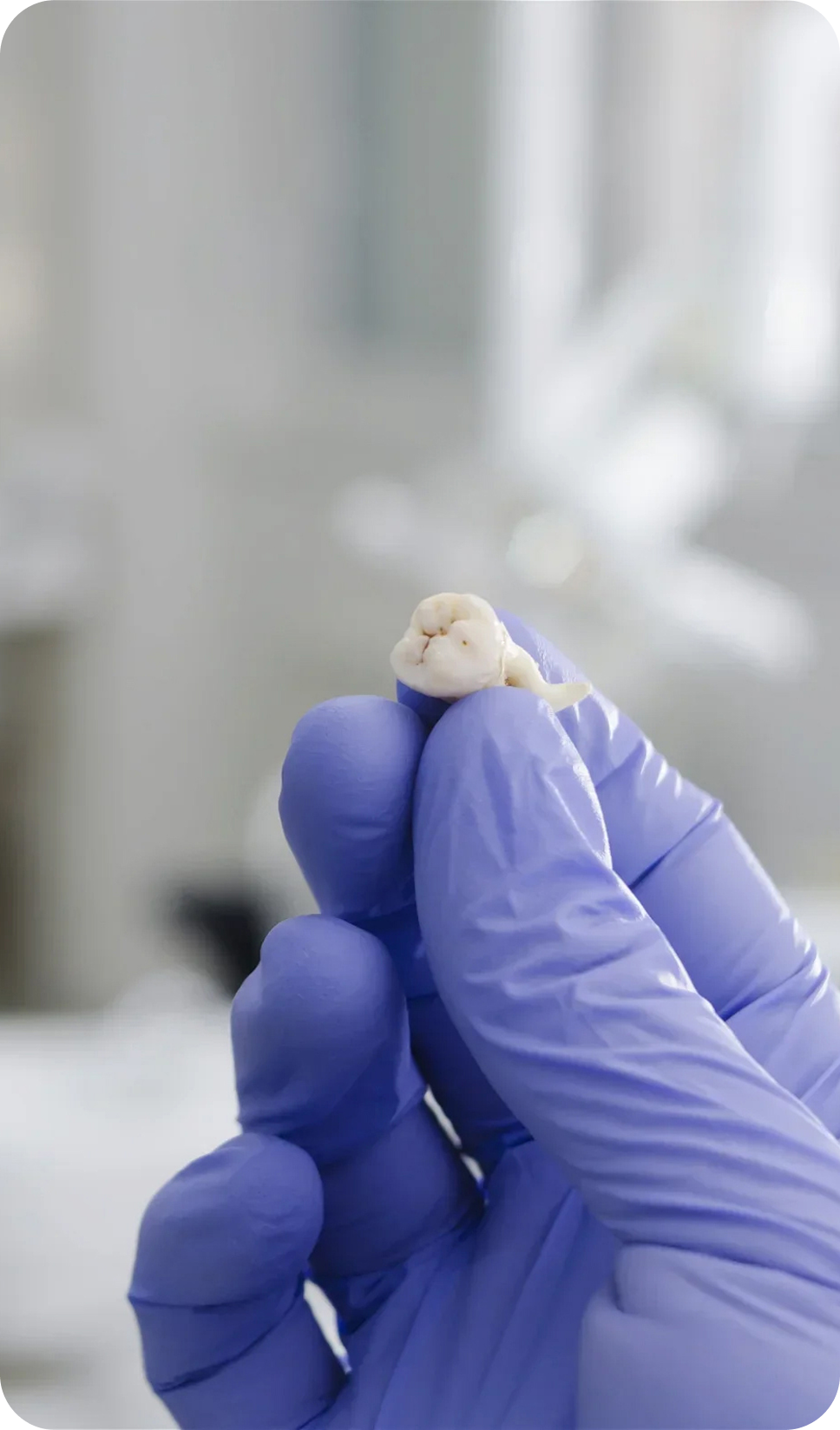 Best solution for your dental need